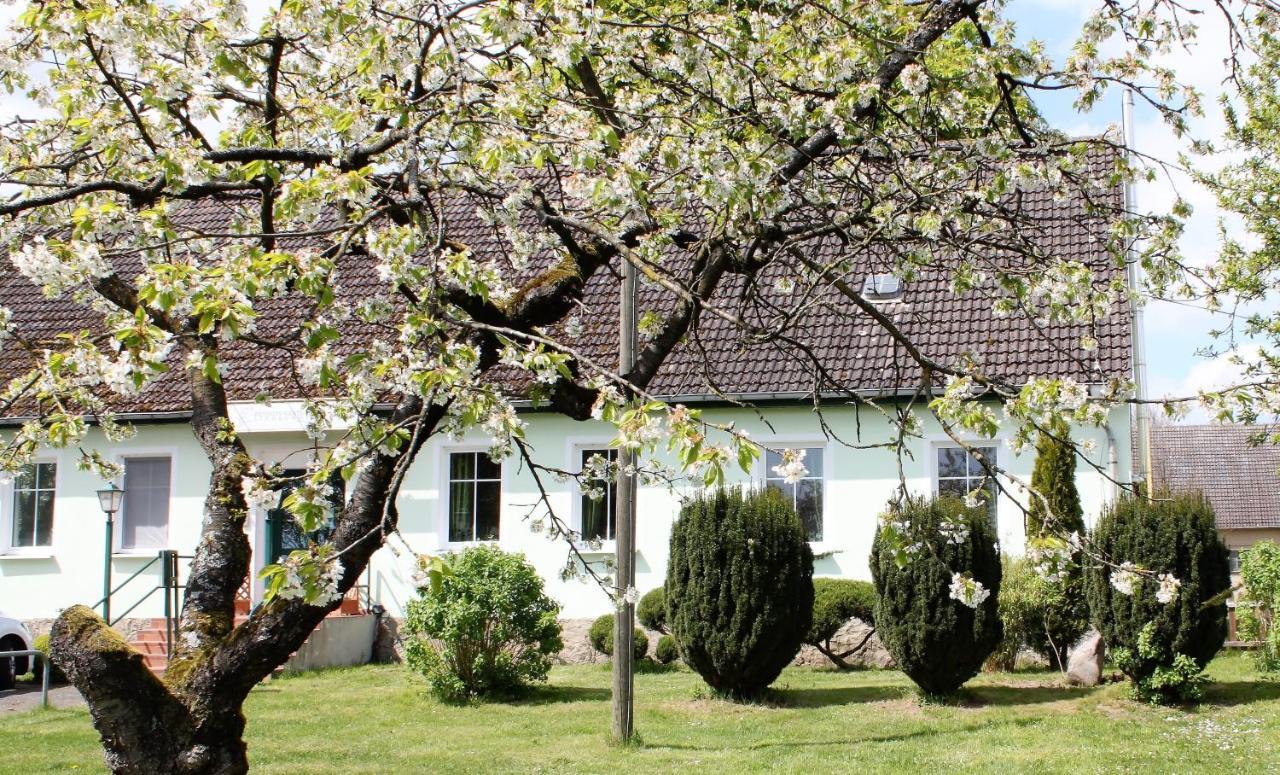 Pension Gestuet Lindenhof Templin Esterno foto